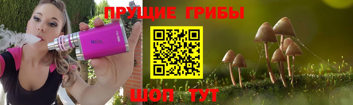 Псилоцибиновые грибы мухоморы Гусь-Хрустальный